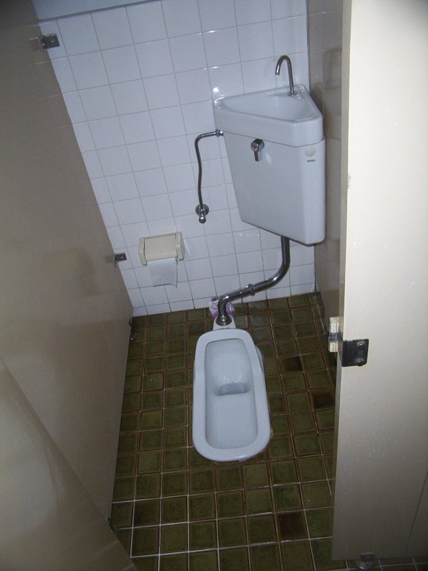 Japanese style squat toilet.