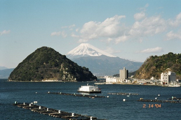 Mt. Fuji from Izu Mito Sea Paradise