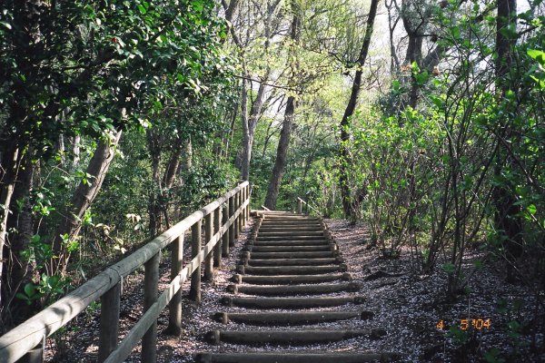 A walk through Ikuta park