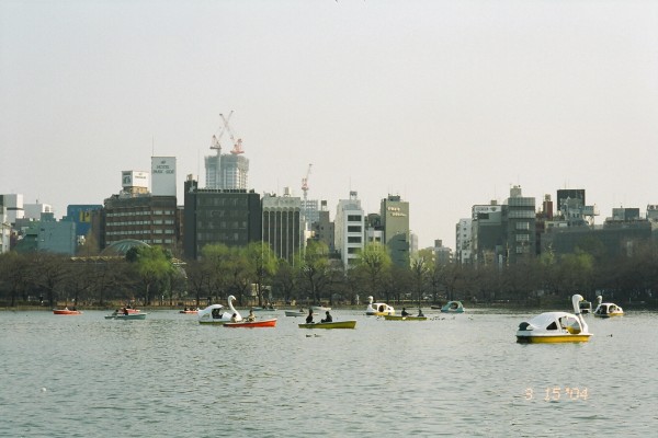 Rental boats at the Ueno park duck pond