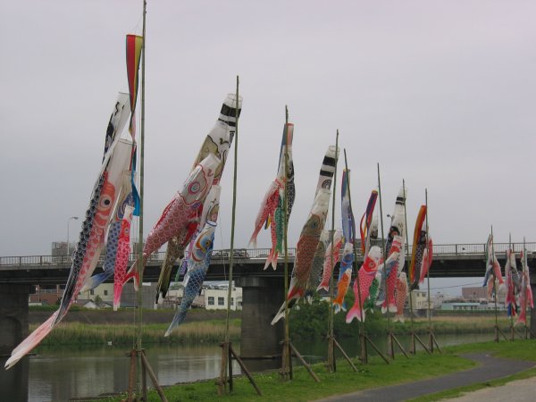 Carp banners along the Kano river in Numazu