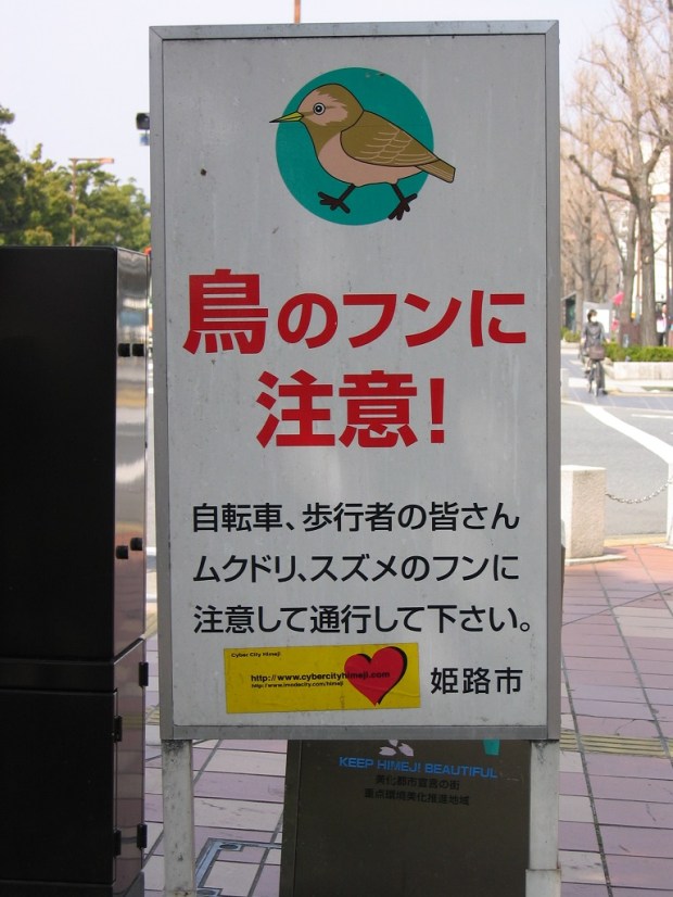 "Beware of bird poop"