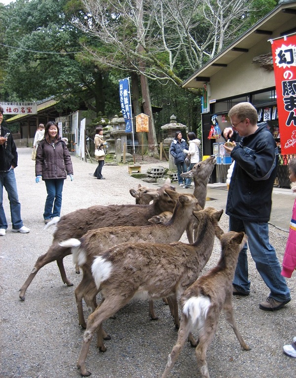 Nara Deer