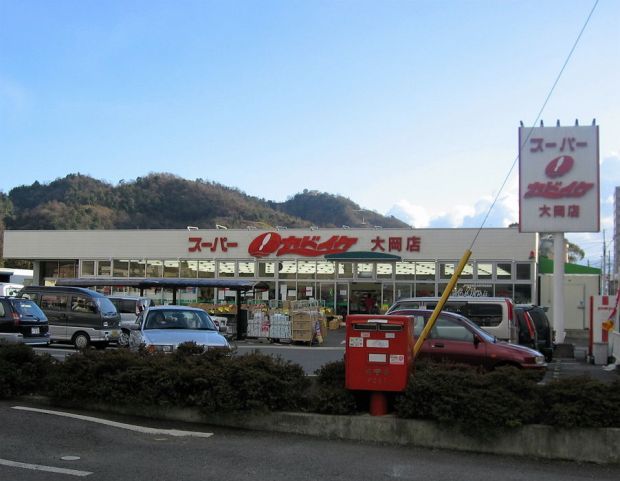 Kadoike Supermarket across from my apartment